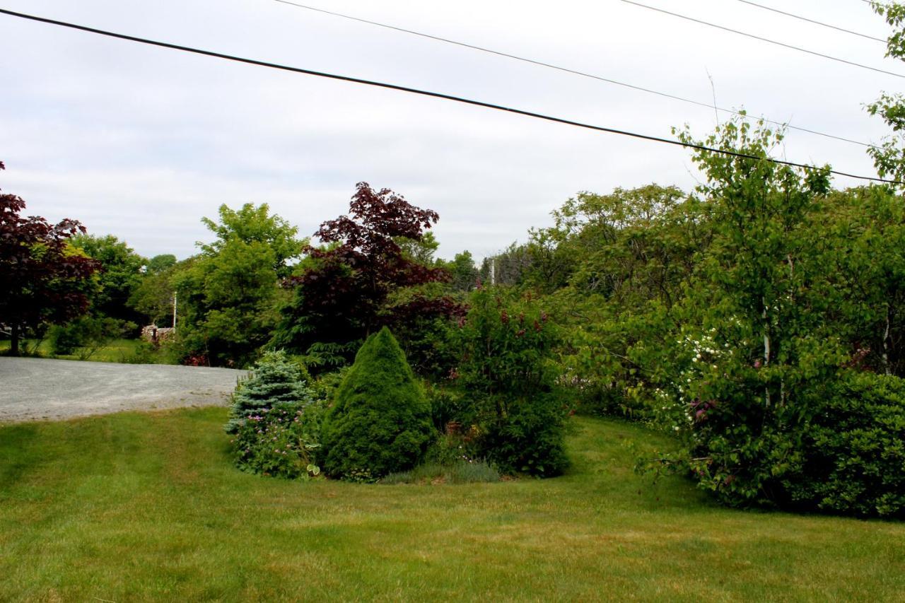 Mackenzie House B&B By Elevate Rooms Port Hawkesbury Exteriér fotografie